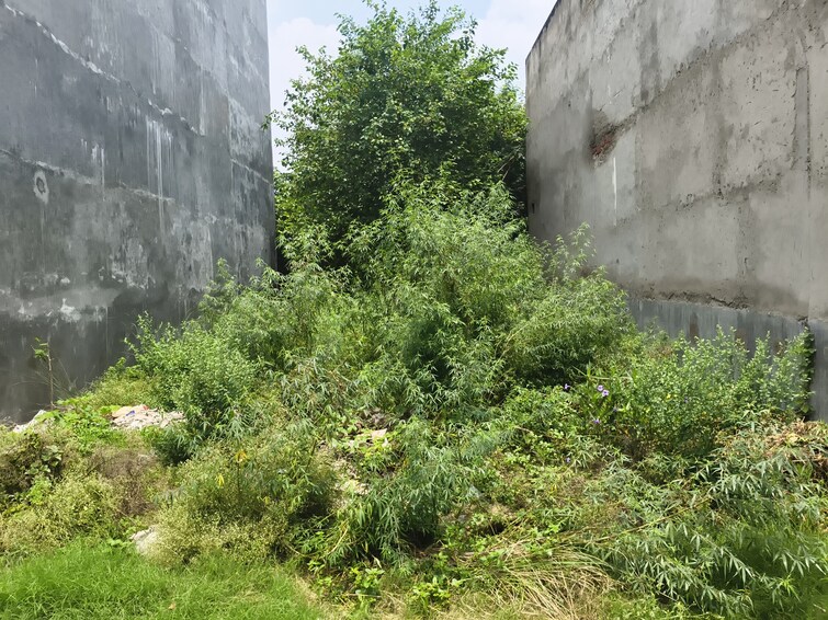 Cover Image, sharda nagar  1744 Sq.Ft. Plot In Sharda Nagar Lucknow 8961293