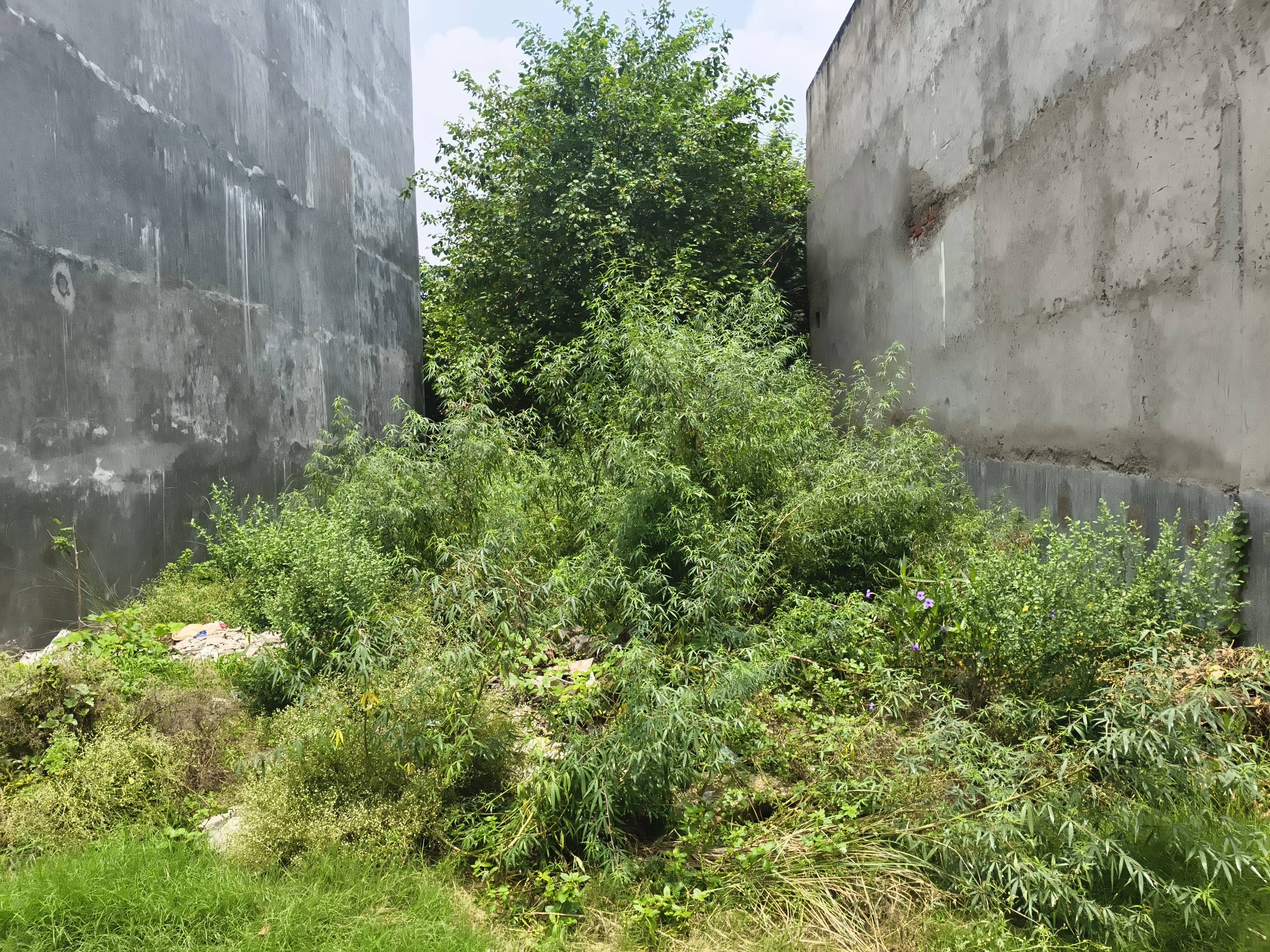 Plot For Sale in Ratan Khand 