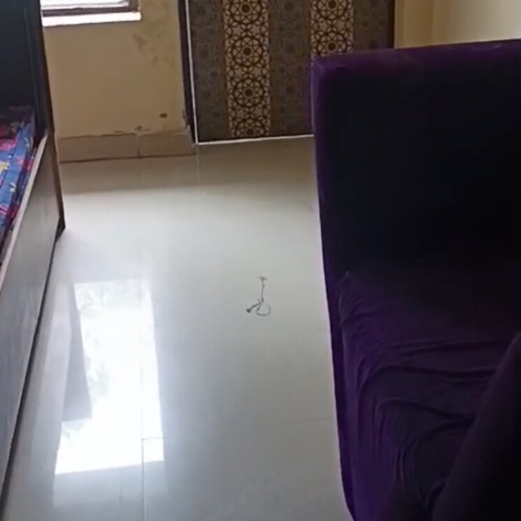 Room, rwa-apartments-sector-40 2 Bedroom 450 Sq.Mt. Independent House In Sector 40 Noida 8961336