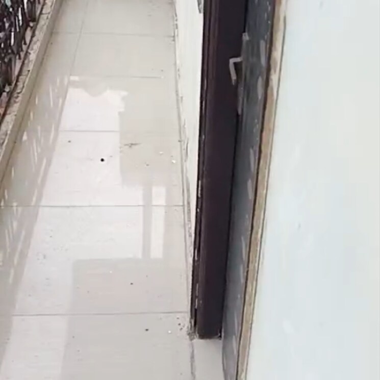 undefined, rwa-apartments-sector-40 2 Bedroom 450 Sq.Mt. Independent House In Sector 40 Noida 8961336