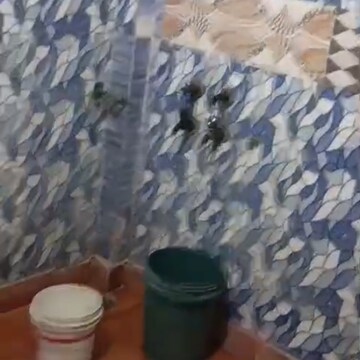 Bathroom in 2 BHK Independent House at RWA Apartments Sector 40, Sector 40 – for Rent