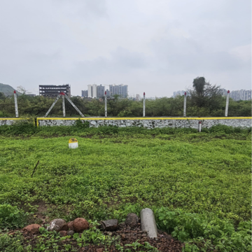 Plot Area in 3 BHK Villa at Wagholi – for Sale