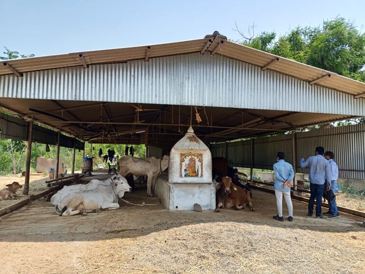 Nearby, narketpalle  165 Sq.Yd. Plot In Narketpalle Hyderabad 8961383