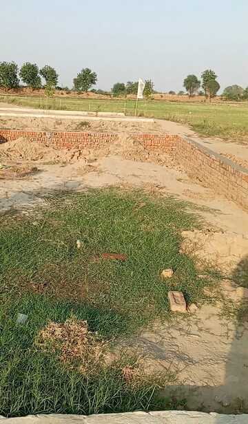 Plot Area in  Plot at Tappal – for Sale