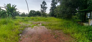 Plot Area in  Land at Kizhakkambalam – for Sale