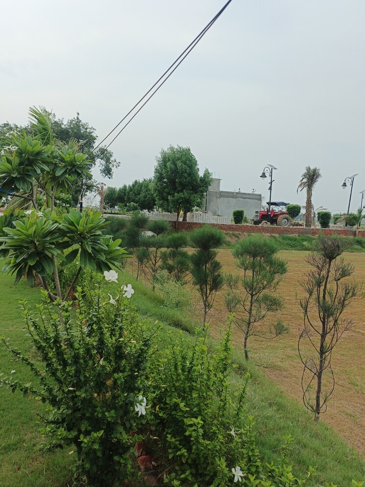 Garden, pocket 4a  250 Sq.Yd. Plot In Pocket 4a Greater Noida 8961749