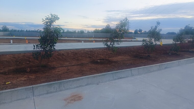 undefined, trichy airport  1200 Sq.Ft. Plot In Trichy Airport Trichy 8961783