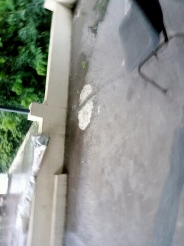 Balcony in 1 RK Builder Floor at Anupam Garden – for Rent