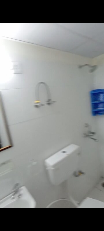1 BHK Apartment For Rent in Amolik Sankalp, Sector 85
