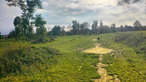 Plot Area in  Plot at Dehrakhas – for Sale