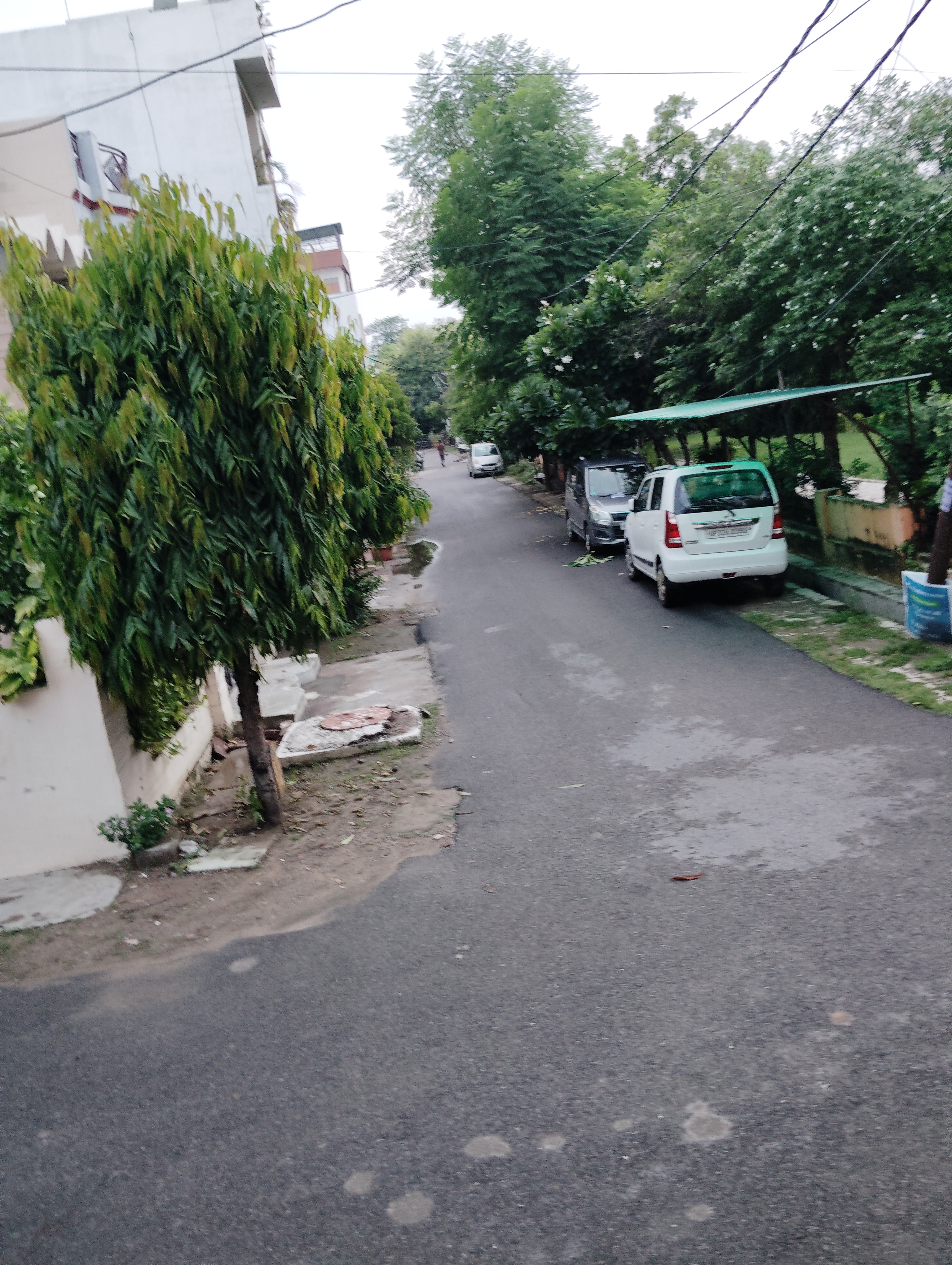 2 BHK + Pooja Room Independent House For Rent in Ram Property