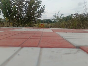  Plot – Exterior View View at Ecil - for Sale