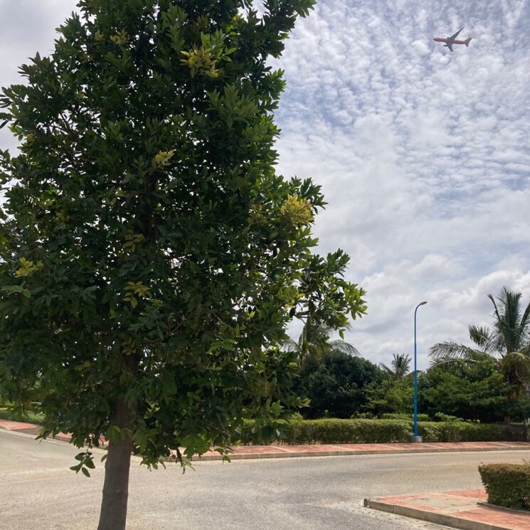 undefined, kannamangala  4200 Sq.Ft. Plot In Kannamangala Bangalore 8962490