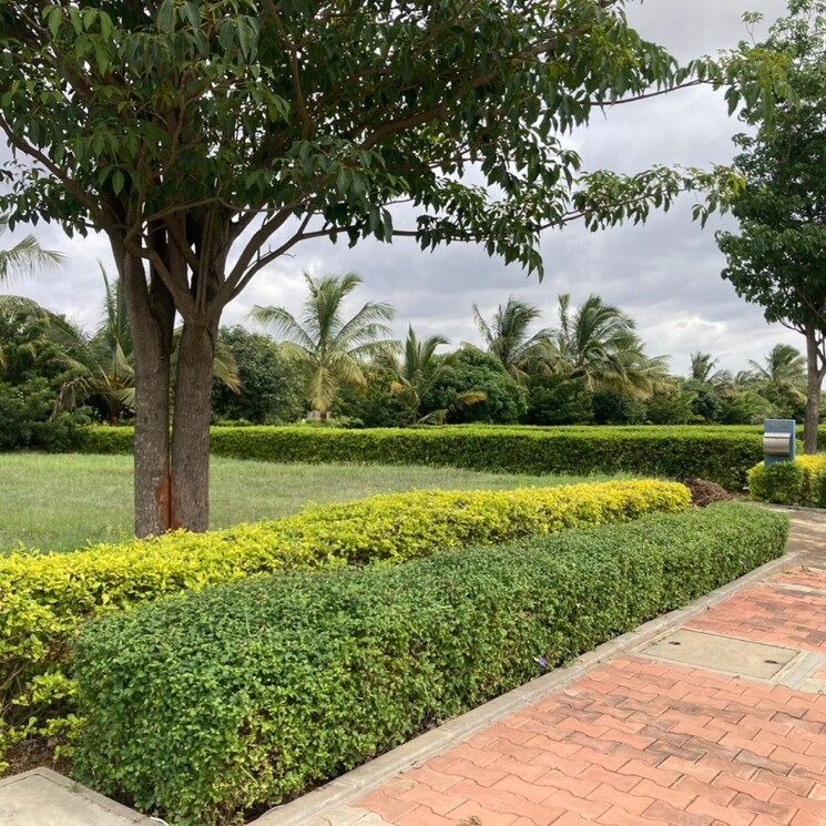 Garden, kannamangala  4200 Sq.Ft. Plot In Kannamangala Bangalore 8962490