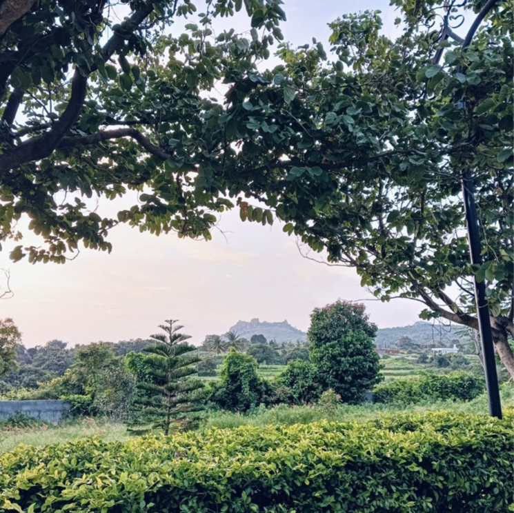 Garden, chikkaballapur 4 Bedroom 4000 Sq.Ft. Villa In Chikkaballapur Bangalore 8962552