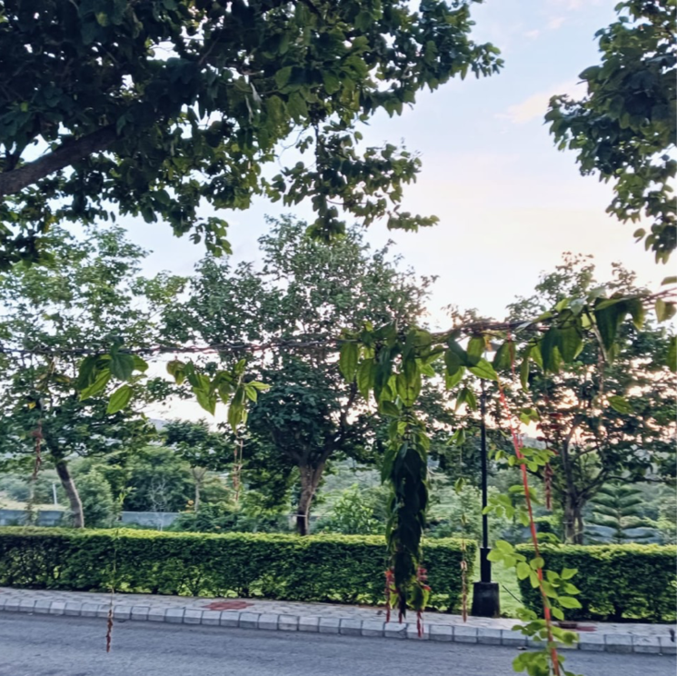 Garden, chikkaballapur 4 Bedroom 4000 Sq.Ft. Villa In Chikkaballapur Bangalore 8962552