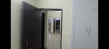 3 BHK Apartment For Rent in Klj Platinum Floors, Sector 77