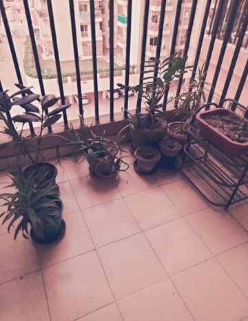 Balcony in 2 BHK Apartment at Gaur 14th Avenue High Street, Sector 16c Greater Noida – for Sale