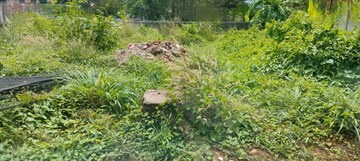 Plot Area in  Land at Patturaickal – for Sale