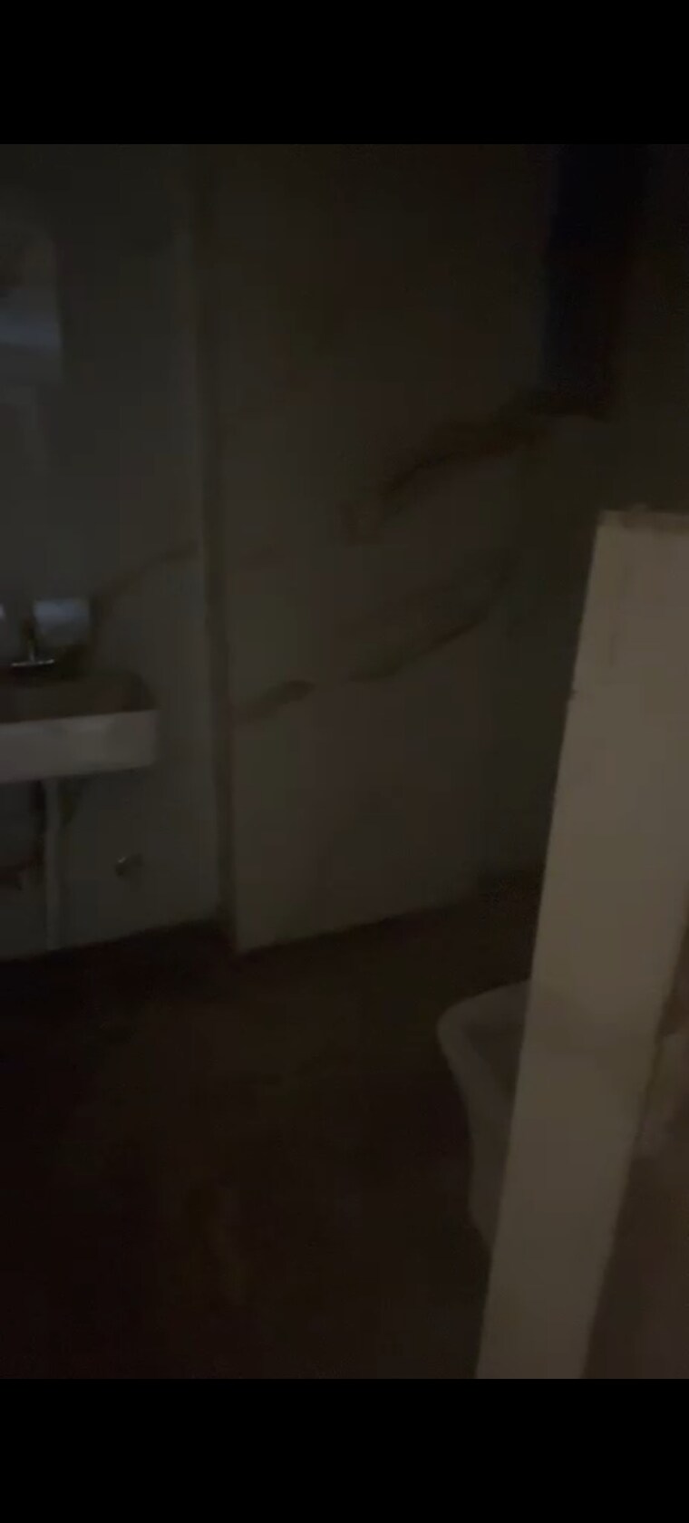 Master Bedroom, sector 44 3 Bedroom 1800 Sq.Ft. Builder Floor In Sector 44 Noida 8962834