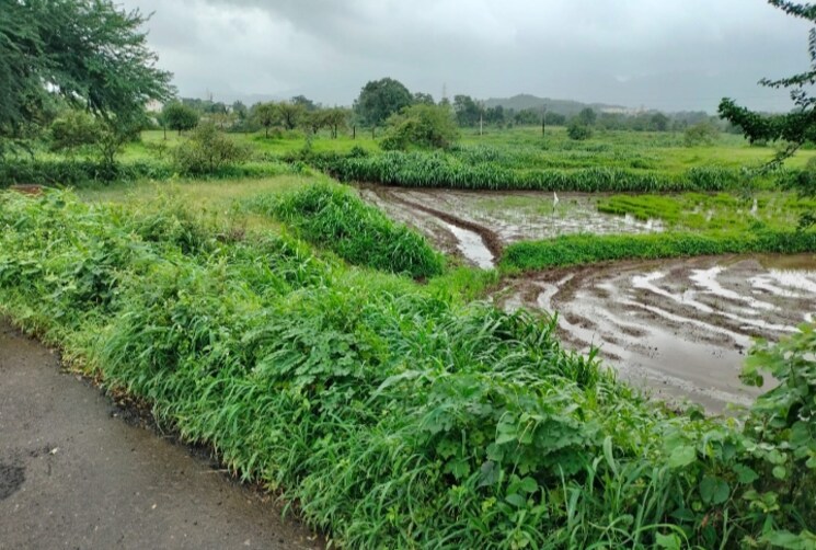 Exterior View, umroli  2000 Sq.Mt. Plot In Umroli Navi Mumbai 8962957