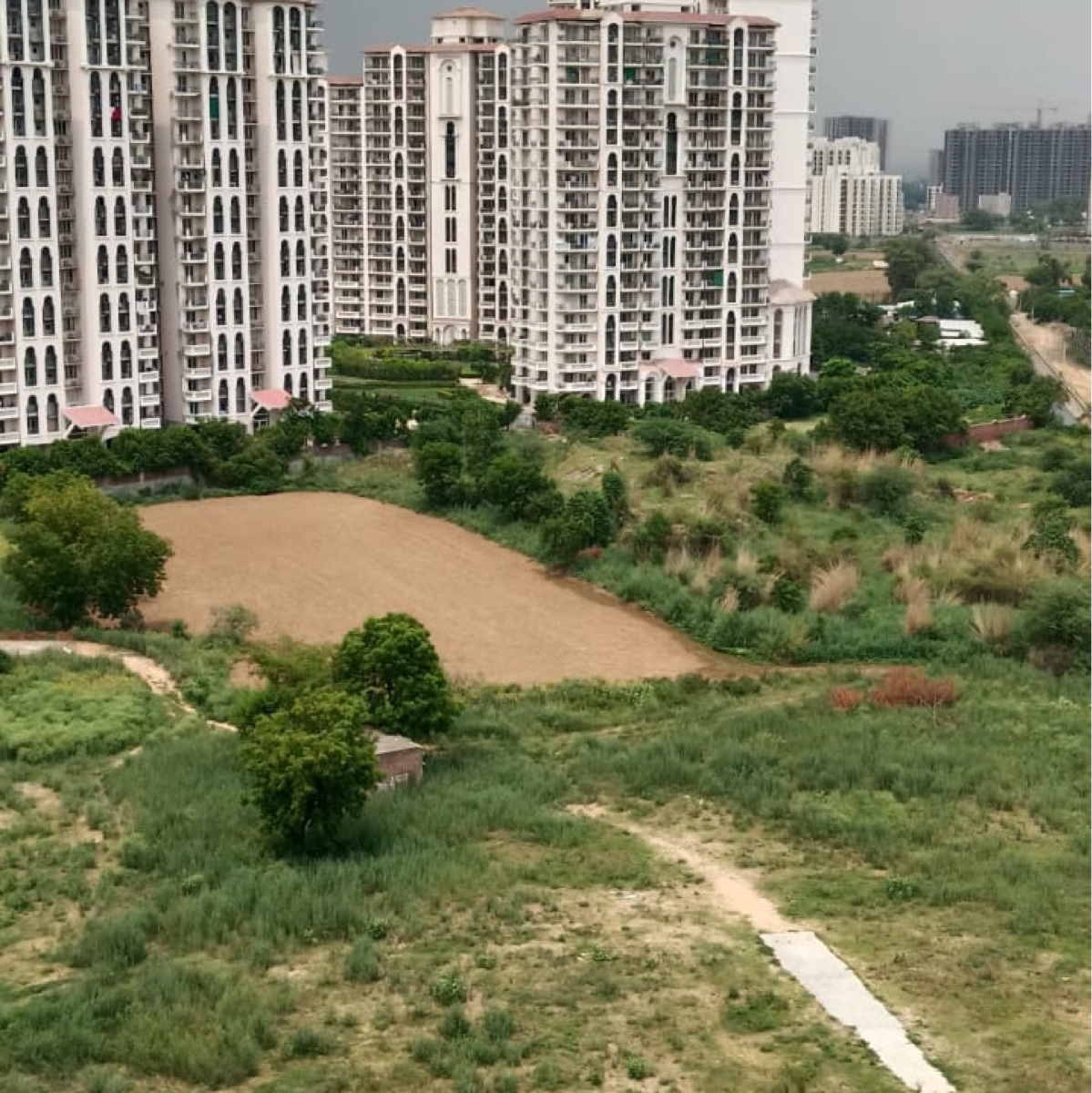 2 BHK Apartment For Rent in AVL 36 Gurgaon