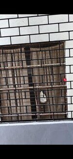 2 BHK + Pooja Room 75 Sq.Yd. Builder Floor in Khanpur