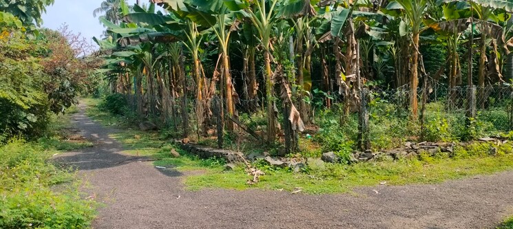 Garden, kodakara  2 Acre Plot In Kodakara Thrissur 8963135