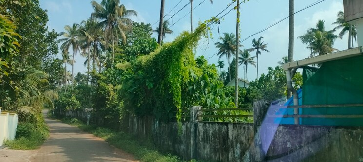 Garden, kodakara  2 Acre Plot In Kodakara Thrissur 8963135
