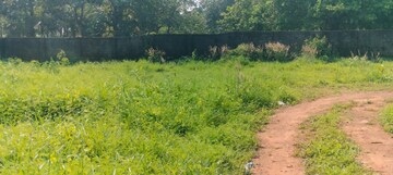  Plot For Sale in Nellikunnu