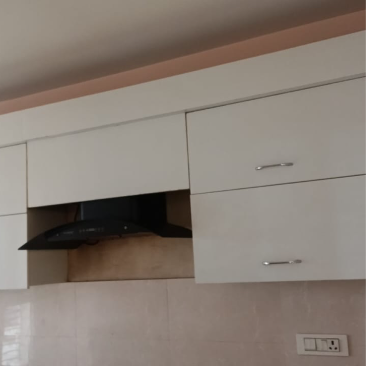 undefined, south city 2 4 Bedroom 367 Sq.Ft. Builder Floor In South City 2 Gurgaon 8963217