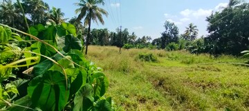 Plot Area in  Land at Viyyur – for Sale
