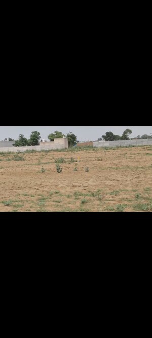 Plot Area in  Plot at VKS Palm Drive, Pataudi – for Sale