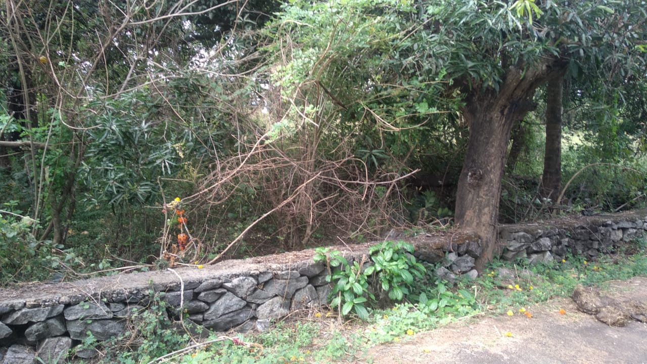 Plot For Sale in Chembukkav