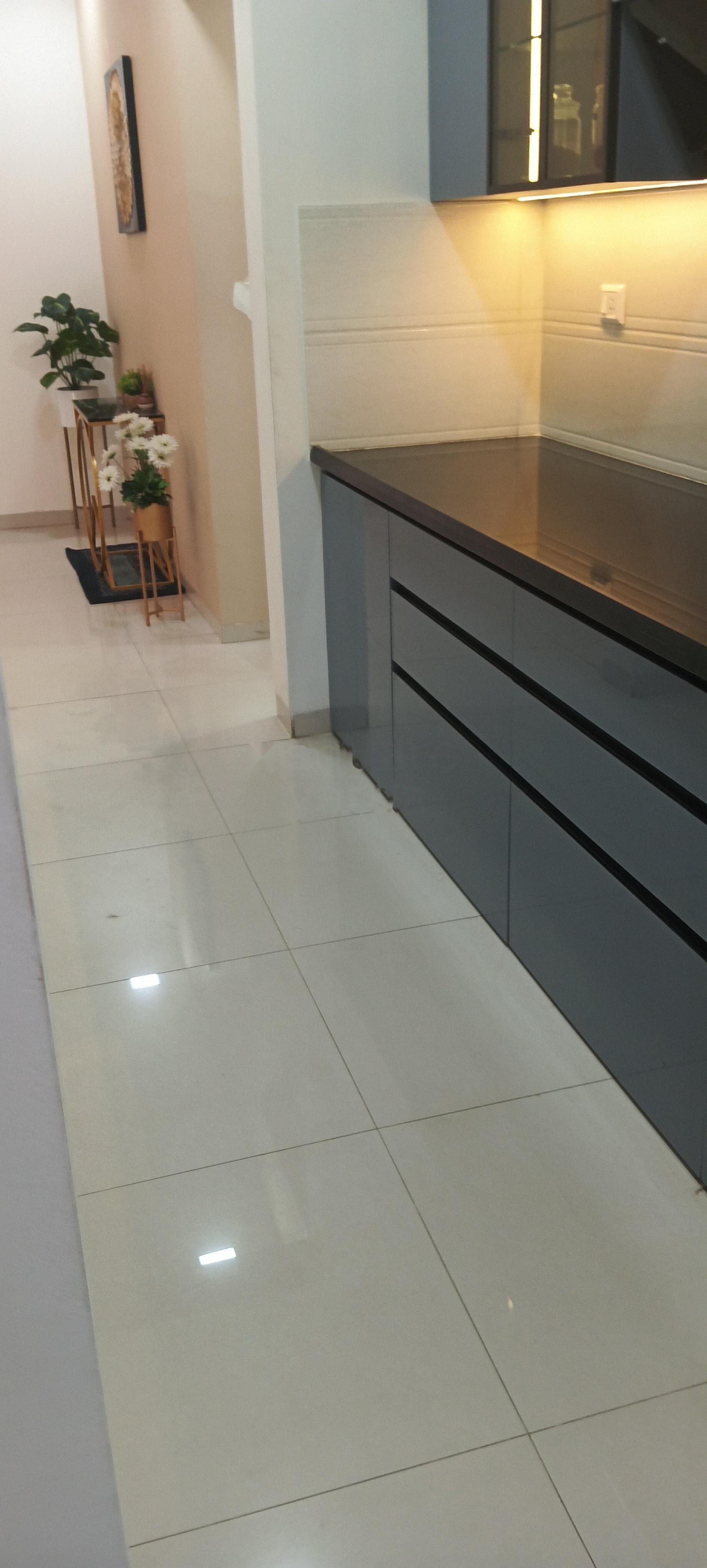 2 BHK Apartment For Rent in Kalpataru Paramount