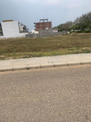  Plot For Sale in Sector 9