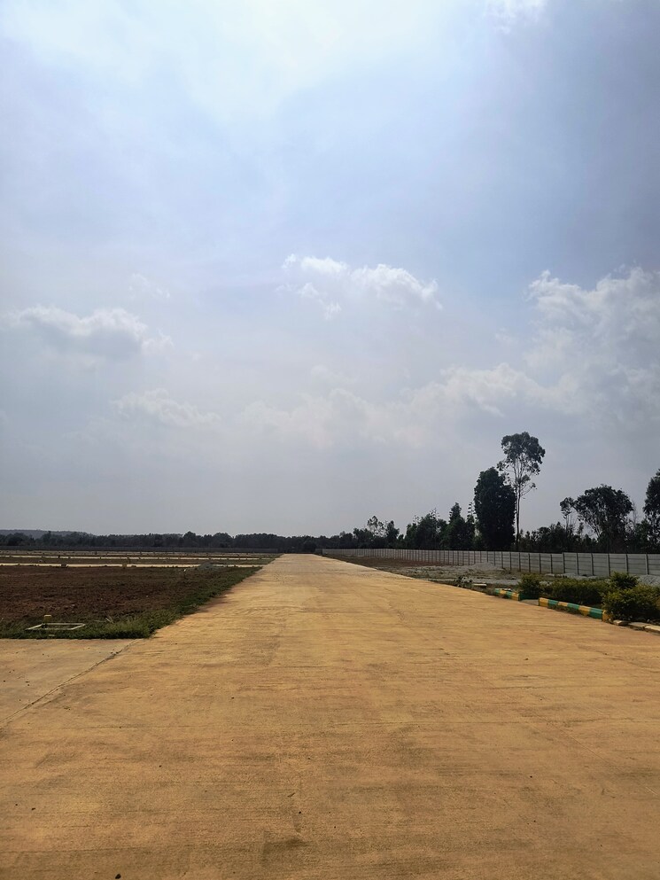 undefined, hoskote road  1500 Sq.Ft. Plot In Hoskote Road Bangalore 8963744