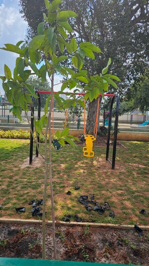  Plot – Garden View at Adarsh Garden Estate, Sarjapur Road - for Sale