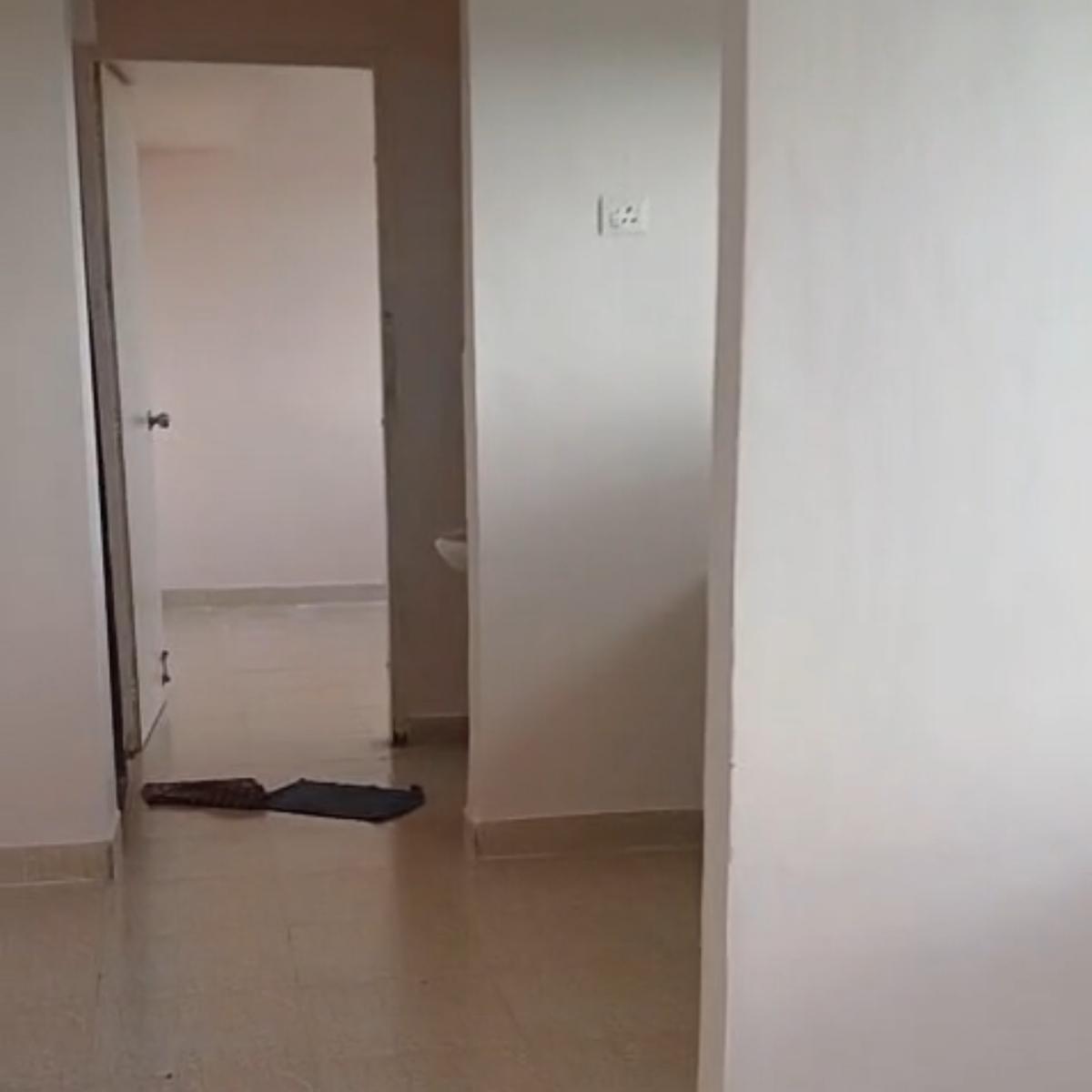 1 BHK Apartment For Rent in Megh Malhar Co-op Housing Society