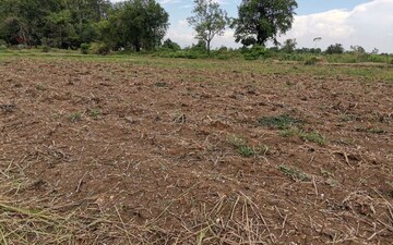 Plot For Sale in Mullanpur