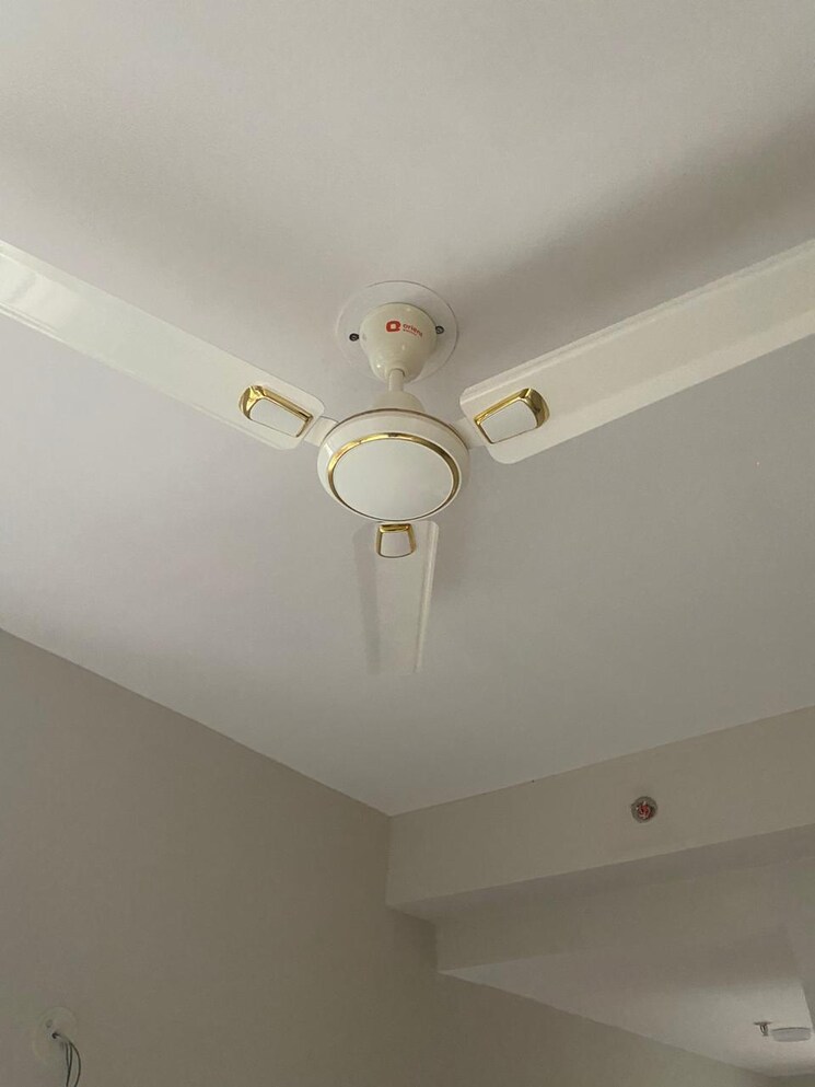 undefined, supertech-ecociti 1 RK 1100 Sq.Ft. Apartment In Sector 137 Noida 8964664