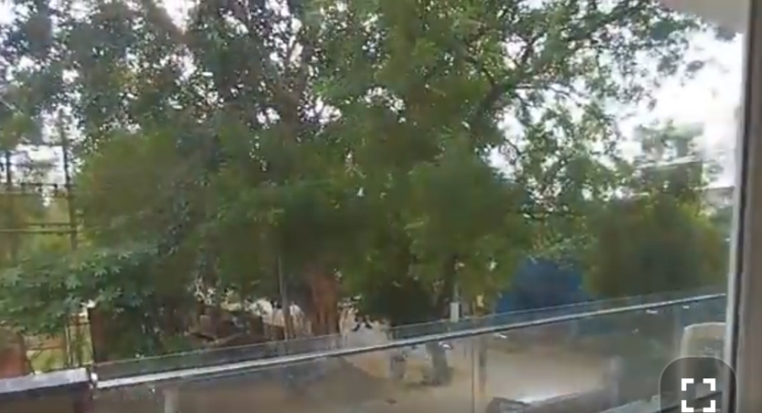 Plot For Sale in Palam Vihar Residents Association