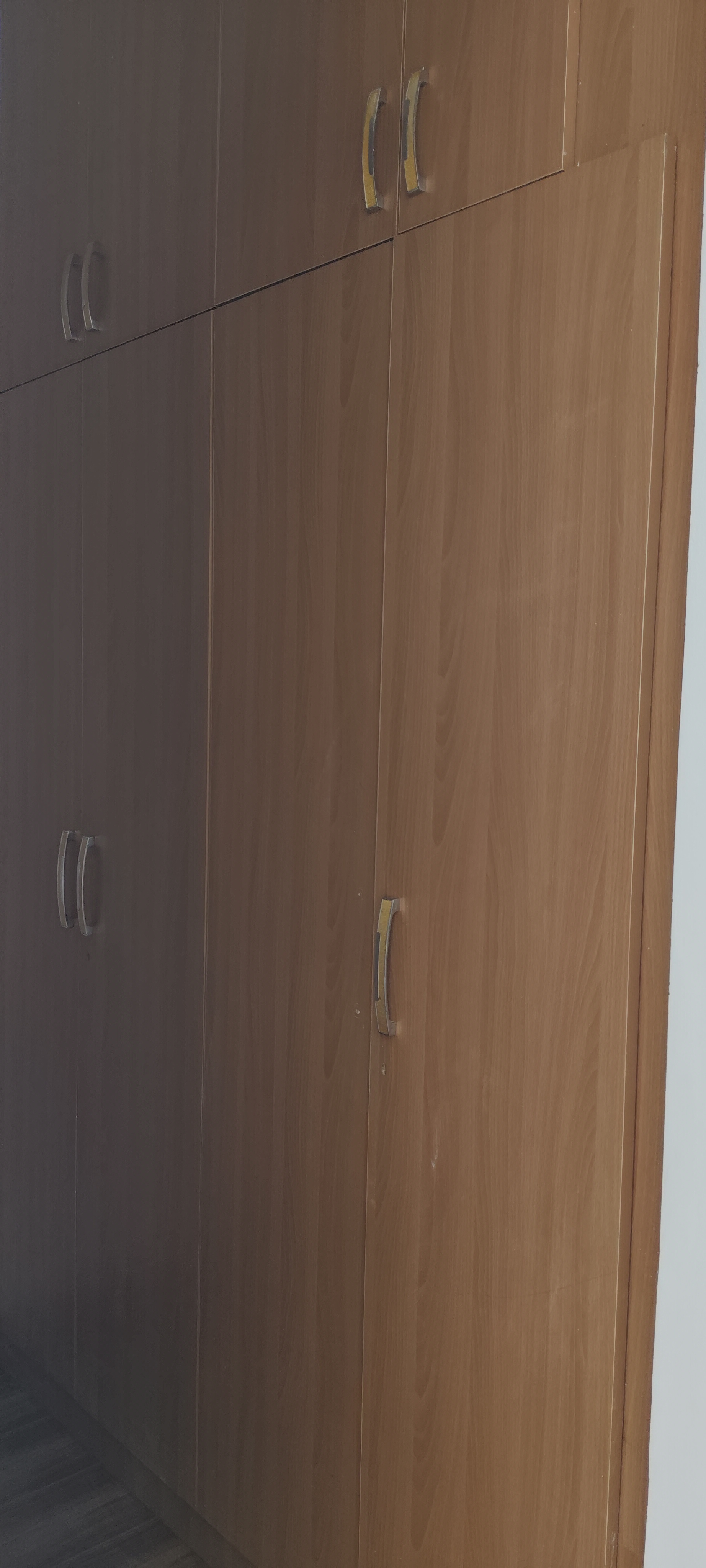 3 BHK Apartment For Sale in ATS Dolce