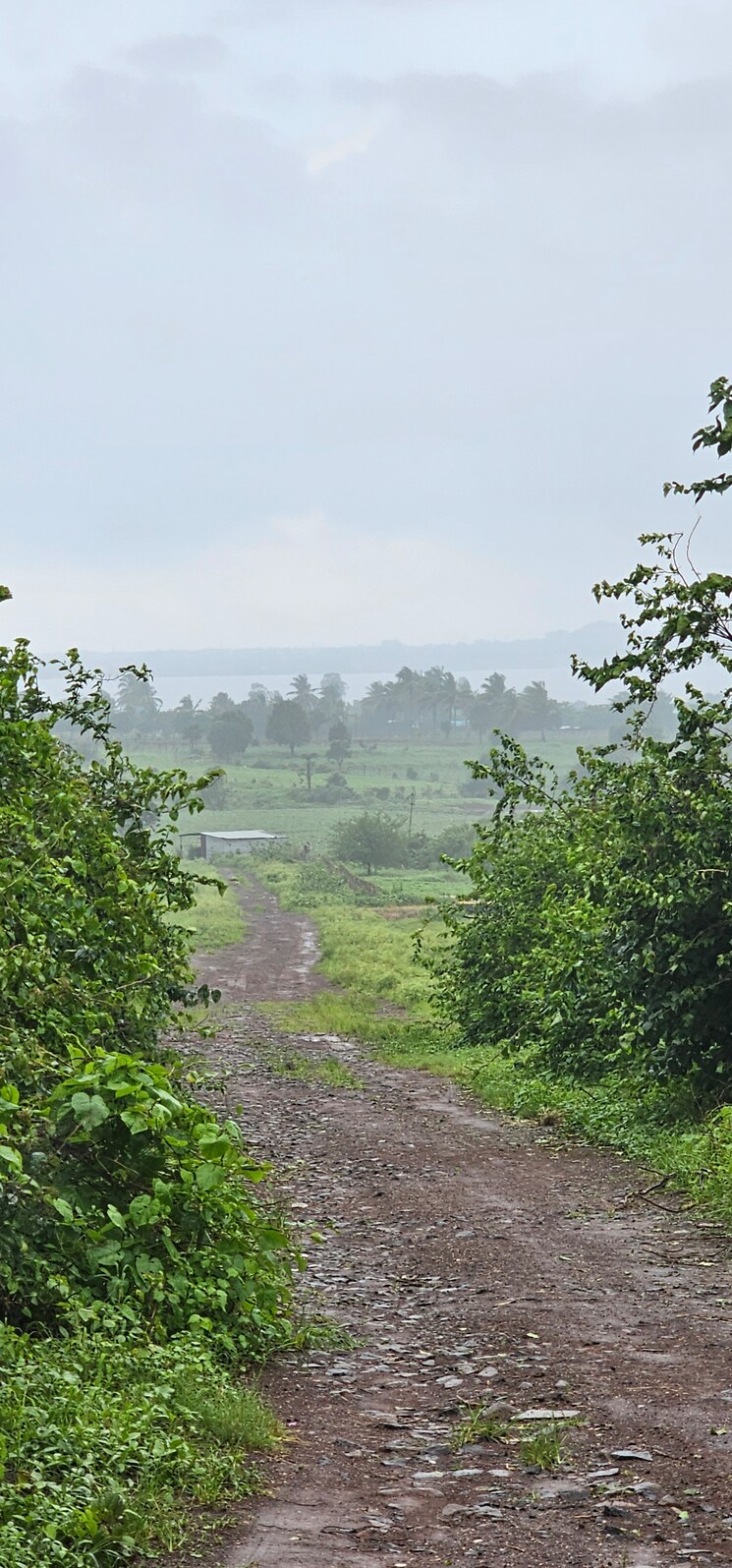 Garden, nagalwadi  3100 Sq.Ft. Plot In Nagalwadi Nashik 8965136