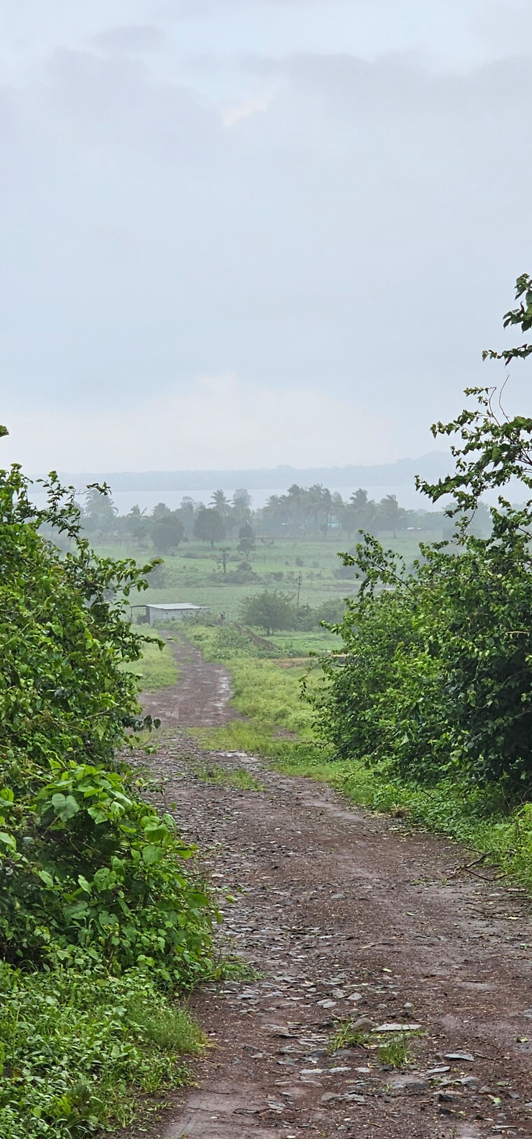 Garden, nagalwadi  3100 Sq.Ft. Plot In Nagalwadi Nashik 8965136