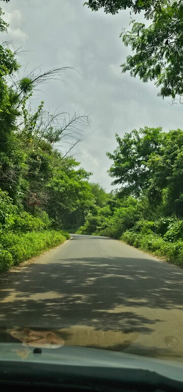  Plot – Garden View at Nagalwadi - for Sale
