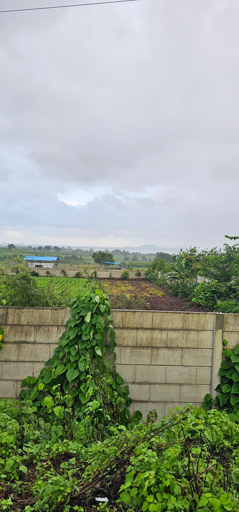 Exterior View, nagalwadi  3100 Sq.Ft. Plot In Nagalwadi Nashik 8965136