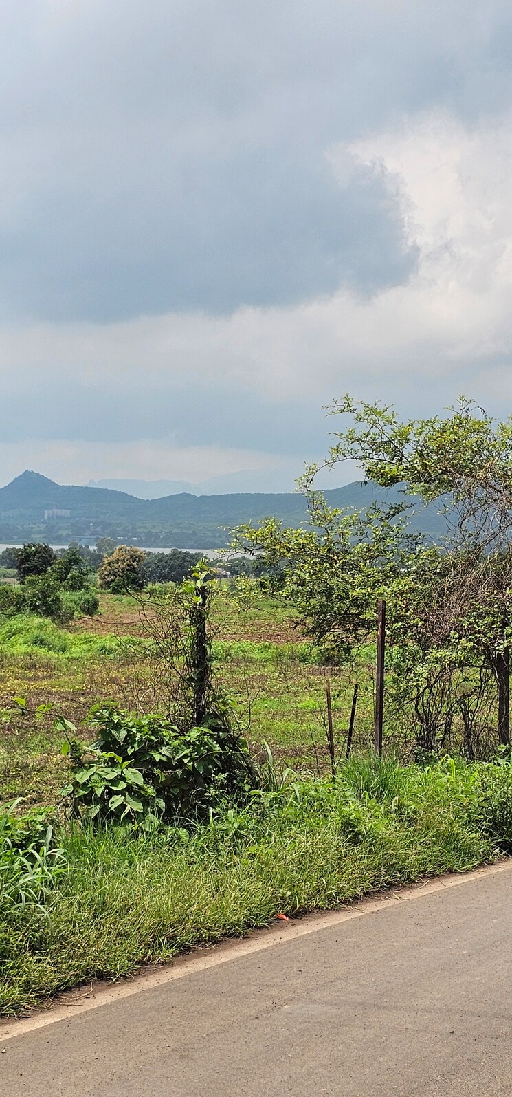 Garden, nagalwadi  3100 Sq.Ft. Plot In Nagalwadi Nashik 8965136