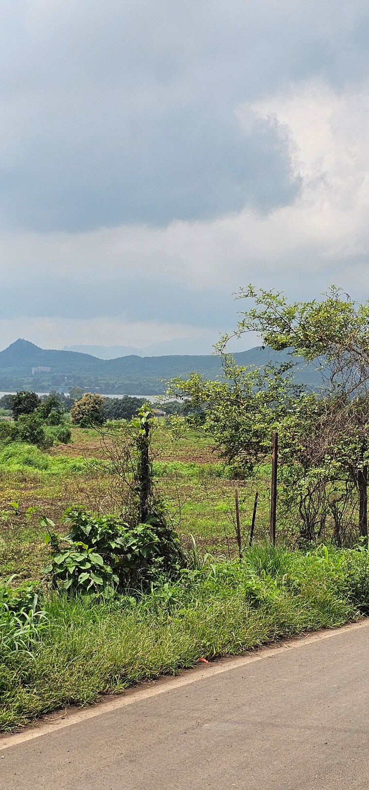 Garden, nagalwadi  3100 Sq.Ft. Plot In Nagalwadi Nashik 8965136