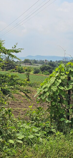  Plot – Garden View at Nagalwadi - for Sale